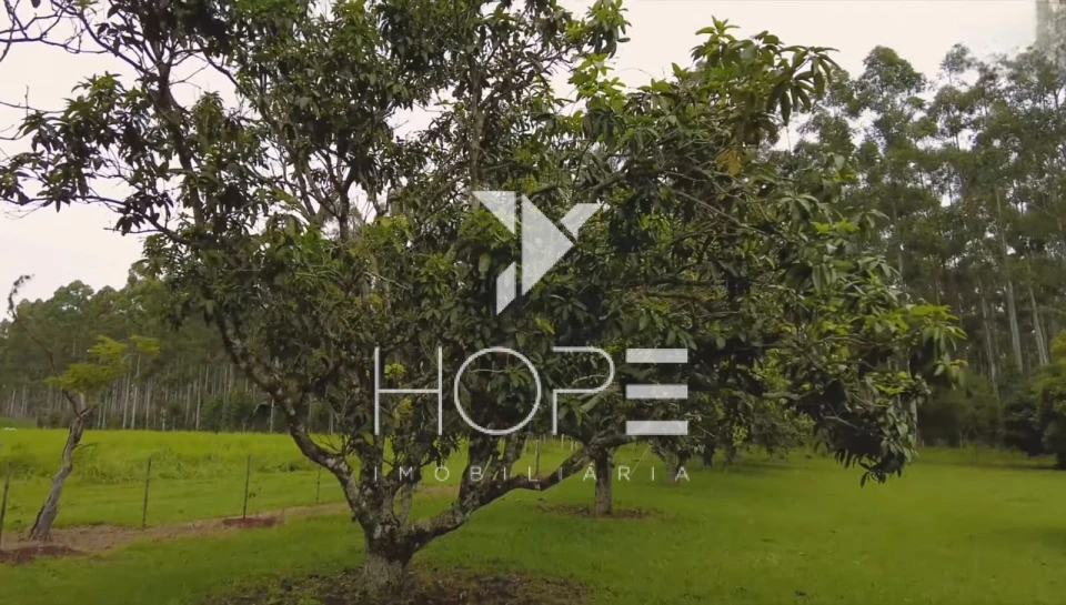 Imagens do imóveis Fazenda à venda – 80 alqueires – Tatuí/SP – Próxima a Sorocaba