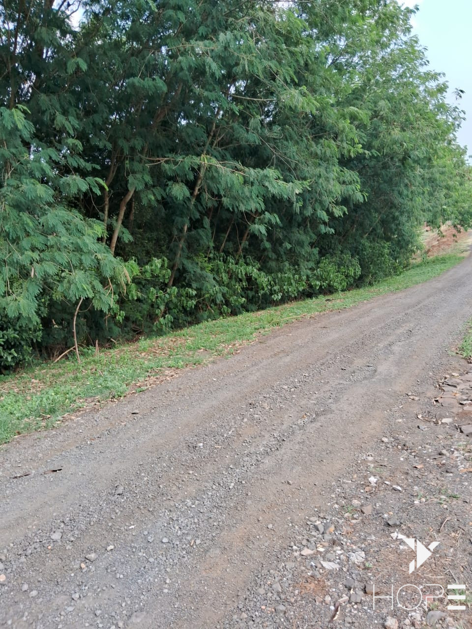 Imagens do imóveis TERRENO A VENDA NO CONDOMÍNIO DE CHÁCARAS ITAÚNA