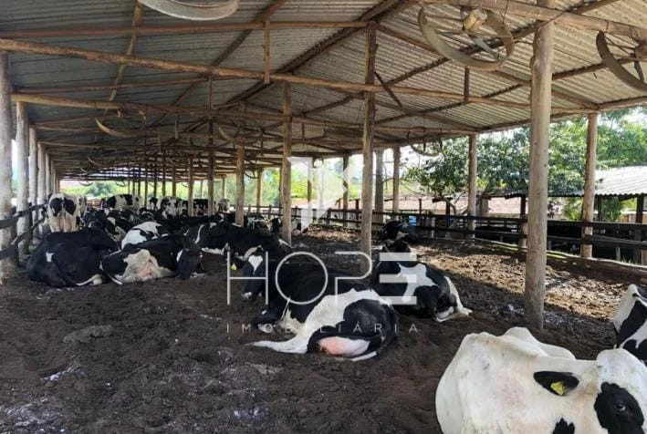 Imagens do imóveis Fazenda à venda 330 Alqueires – agricultura e pecuária estrutura completa – Vale do Paraíba – São Paulo
