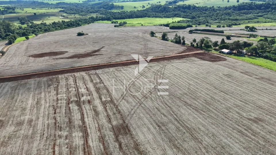 Imagens do imóveis Sítio à venda com 25 alqueires (61 hectares) - 15 alqueires em plantio - Itapetininga SP