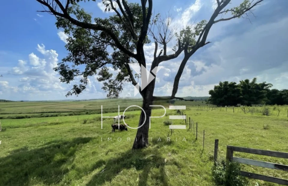 Imagens do imóveis Fazenda à Venda Proximo a Marília/SP – 146 Alqueires – 90% Aproveitamento – Rica em Água
