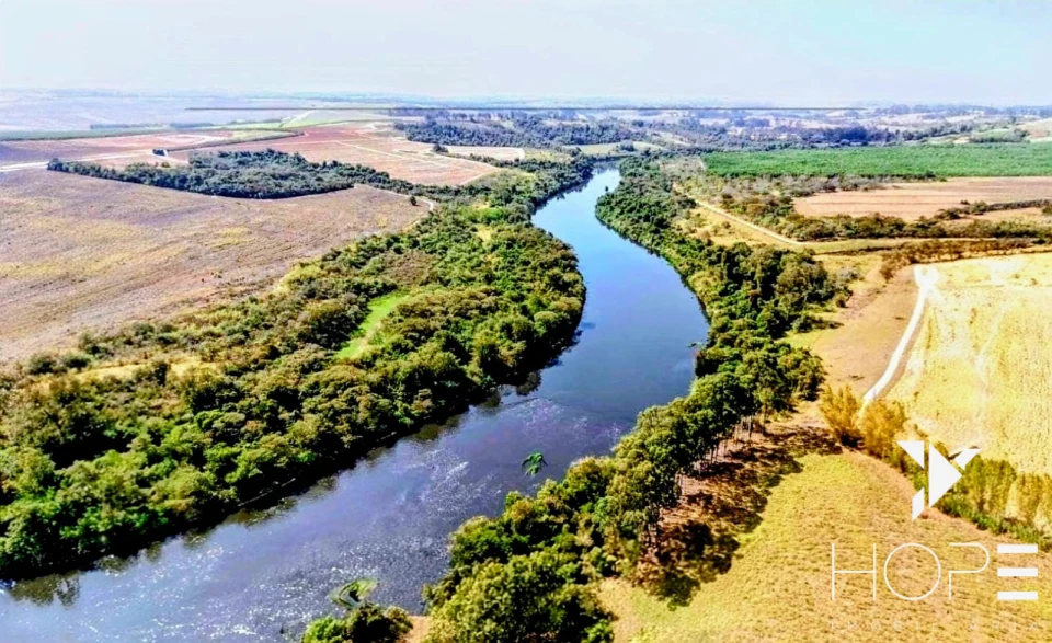 Fazenda com Eucalipto à Venda em Itu/SP – Renda Garantida com Arrendamento à Suzano