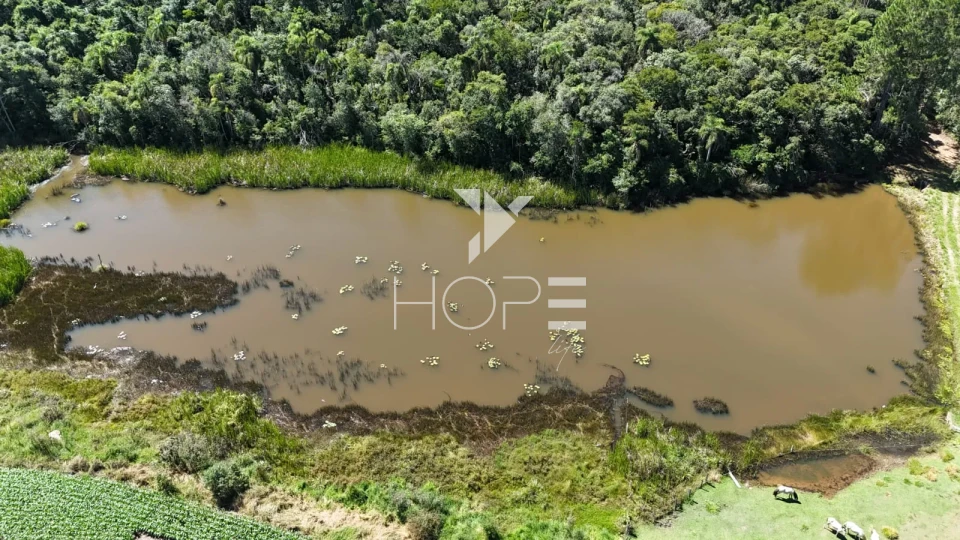 Imagens do imóveis Fazenda à venda com 75 alqueires (181.5 hectares) - agricultura e eucalipto - São Miguel Arcanjo SP