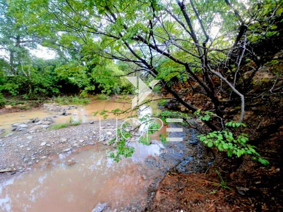 Fazenda à venda – 1.750 Alqueires (4.235 Hectares) – Alvorada do Norte/GO