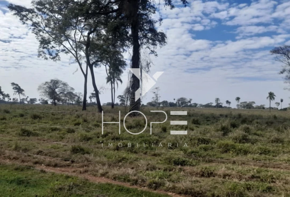 Imagens do imóveis fazenda à venda 622 alqueires dupla aptidão margem de rio – município de Bataguassu – Mato Grosso do Sul