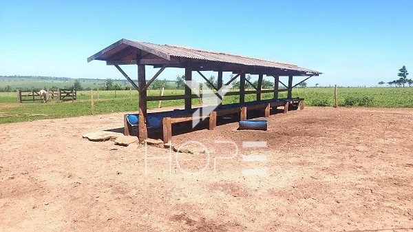 Imagens do imóveis Sítio à venda 13 alqueires pecuária benfeitorias completas – Porto São José – São Pedro do Paraná – próximo a Porto Rico