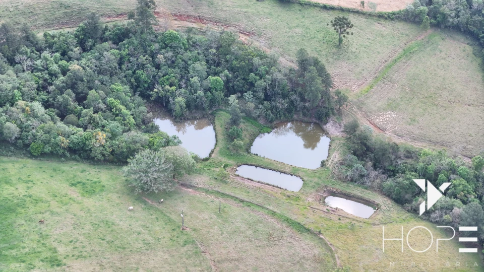 Imagens do imóveis Sítio Escriturado à venda – 6,25 alqueires – Tamarana/PR