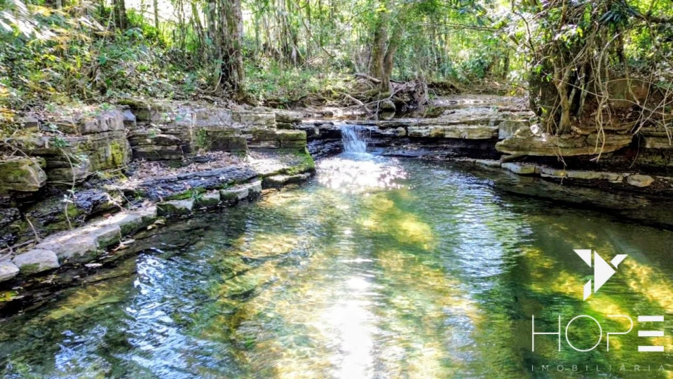 Imagens do imóveis Fazenda à Venda – 160 alqueires – Ortigueira/PR – Estrutura completa e localização privilegiada - 25 km da Cidade
