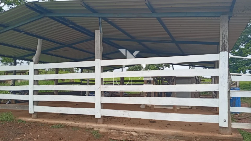 Imagens do imóveis Fazenda à venda com 54 alqueires - renda com cana - mansão de luxo - dupla aptidão - próximo a Uruanã GO