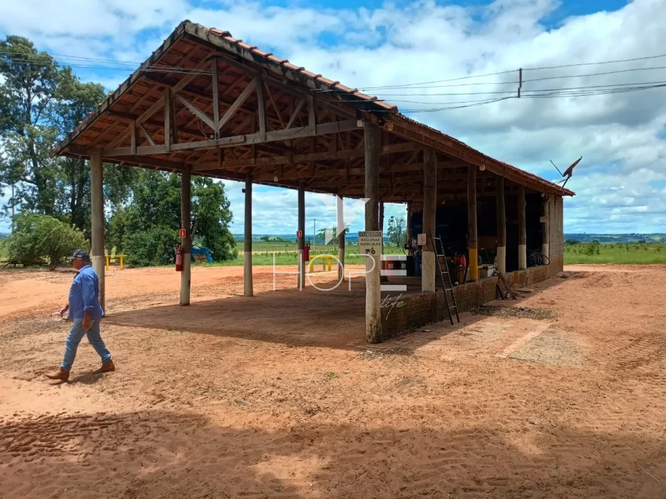 Imagens do imóveis Fazenda de laranja à venda com 77.5 alqueires - 77.150 pés - certificado para exportação - Região de Marília SP