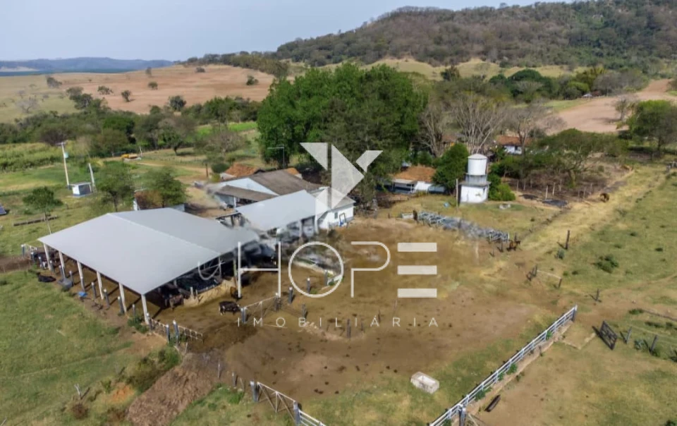 Imagens do imóveis Fazenda à Venda Proximo a Marília/SP – 190 Alqueires – abundante em Agua – Topografia Excelente