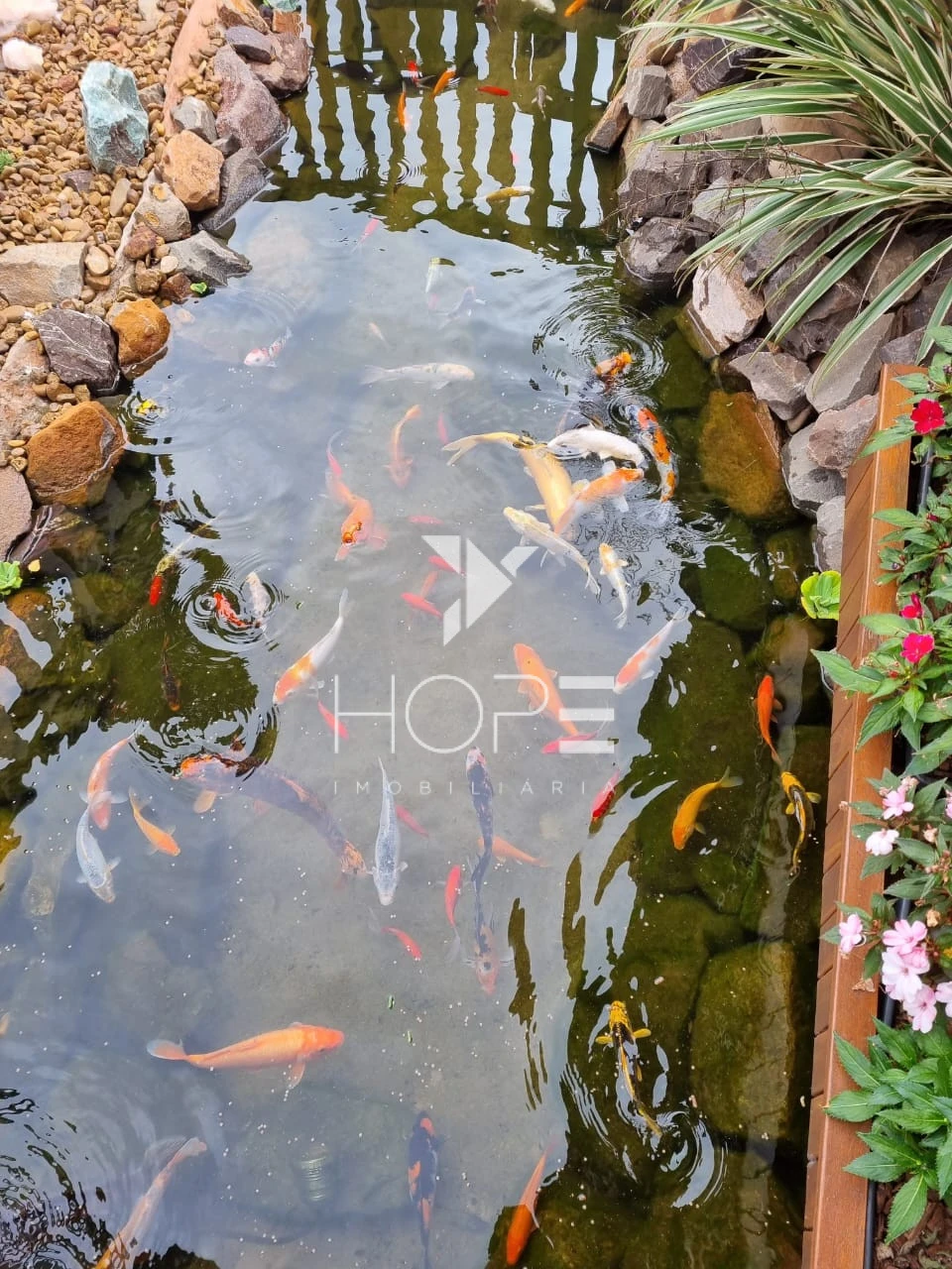 Imagens do imóveis Fazenda Leiteira Porteira Fechada à Venda – 78 Alqueires – Paranavaí/PR – Estrutura Completa + Usina Solar