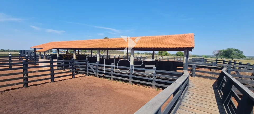Imagens do imóveis Fazenda em dívida à venda com 322 alqueires - estrutura pecuária completa - Águas Claras MS