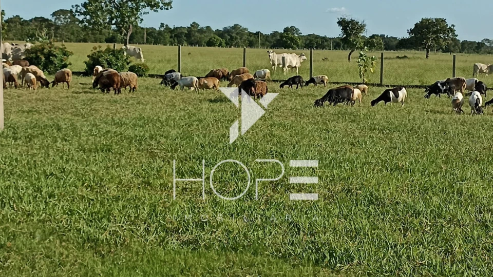 Fazenda à Venda no Mato Grosso – 793 Alqueires | Pecuária Estruturada | Porteira Fechada