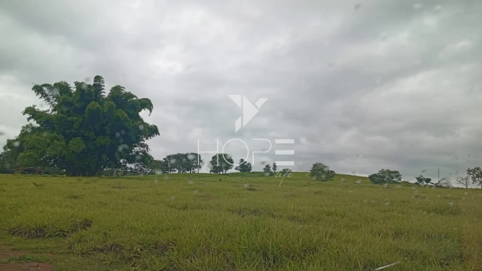 Imagens do imóveis Fazenda à venda com 260 alqueires - 201 formados - confinamento - apta para pivô - Mozarlândia GO