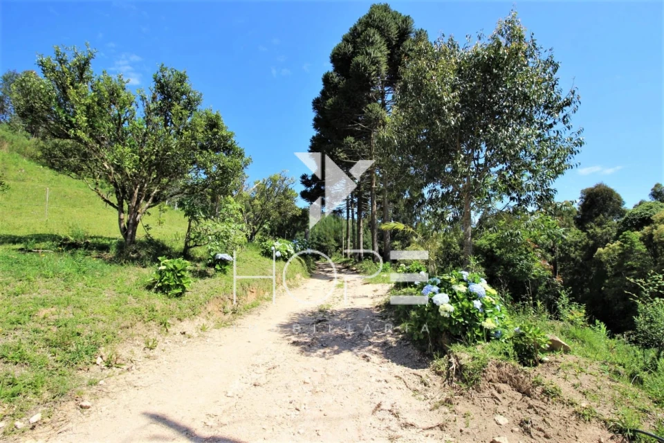 Chácara Completa à Venda  3.8 Alqueres Paulista e 4 Minas de Água – Agudos do Sul PR