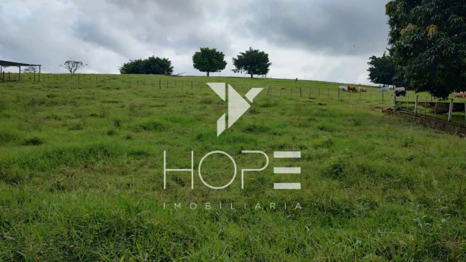 Fazenda à venda – 51 alqueires – Estrutura completa para pecuária leiteira – Angatuba/SP