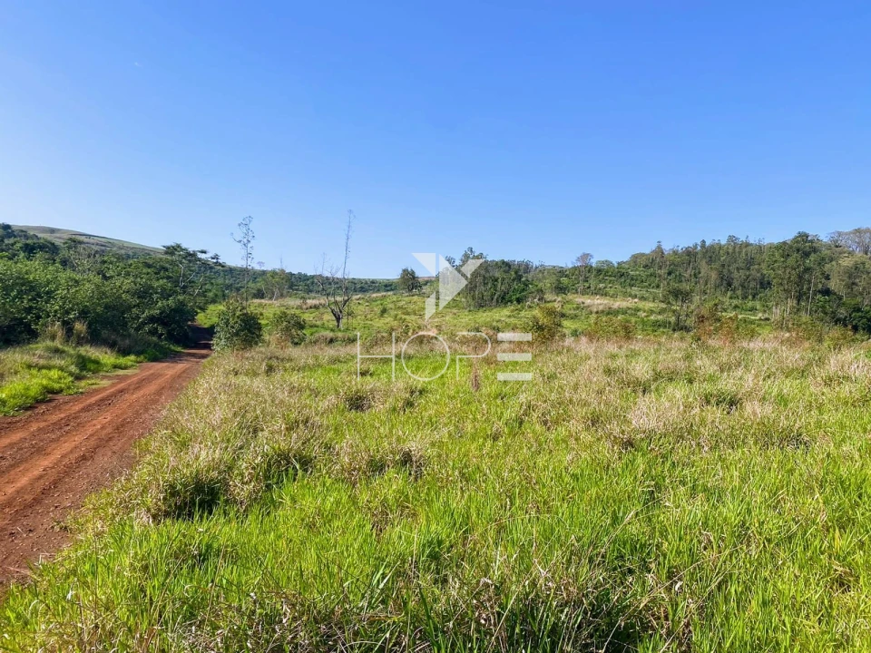 Imagens do imóveis Fazenda à venda com 31.5 alqueires - Estrutura Completa para Lavoura e Gado - Apucarana PR