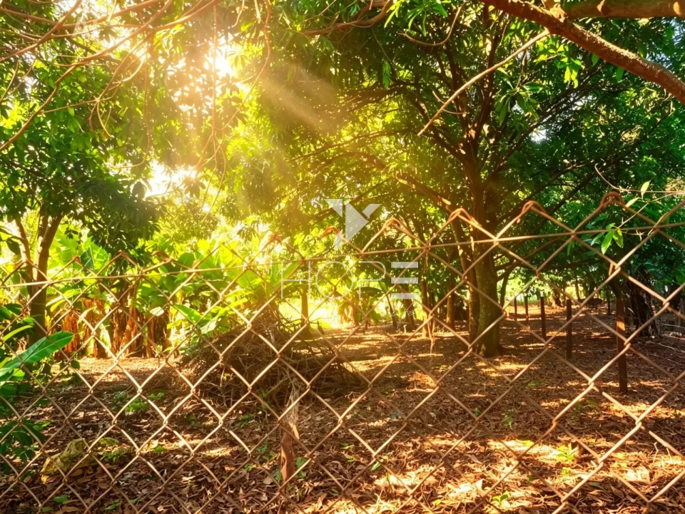 Imagens do imóveis Chácara molhada à venda - 3 quartos - 2 suítes - acesso à água - Alvorada do Sul PR