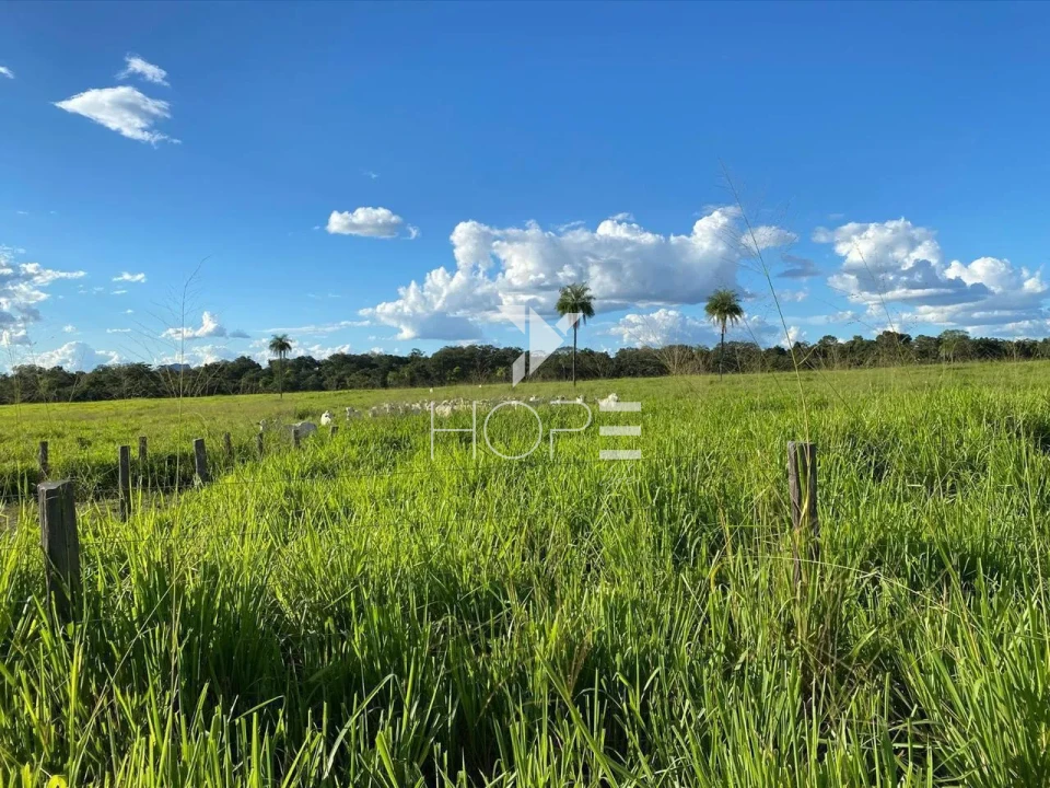 Imagens do imóveis Propriedade à Venda de Alto Padrão - Asfaltada e Homologada C/Hangar – 3.872 Hectares – São Miguel do Araguaia – GO