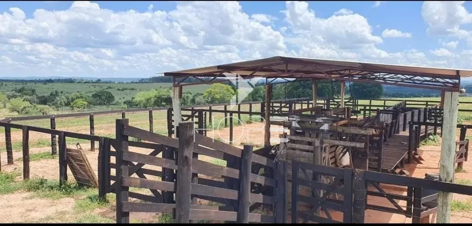 Imagens do imóveis Fazenda à Venda - Solo Misto – 174,24 Hectares – Bauru/SP