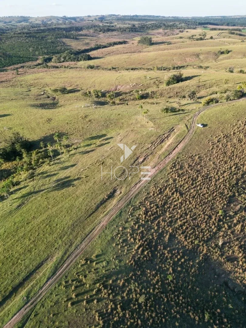 Imagens do imóveis Fazenda à Venda na Região de Paranaparema – 96,8 Hectares – Itapetininga/SP