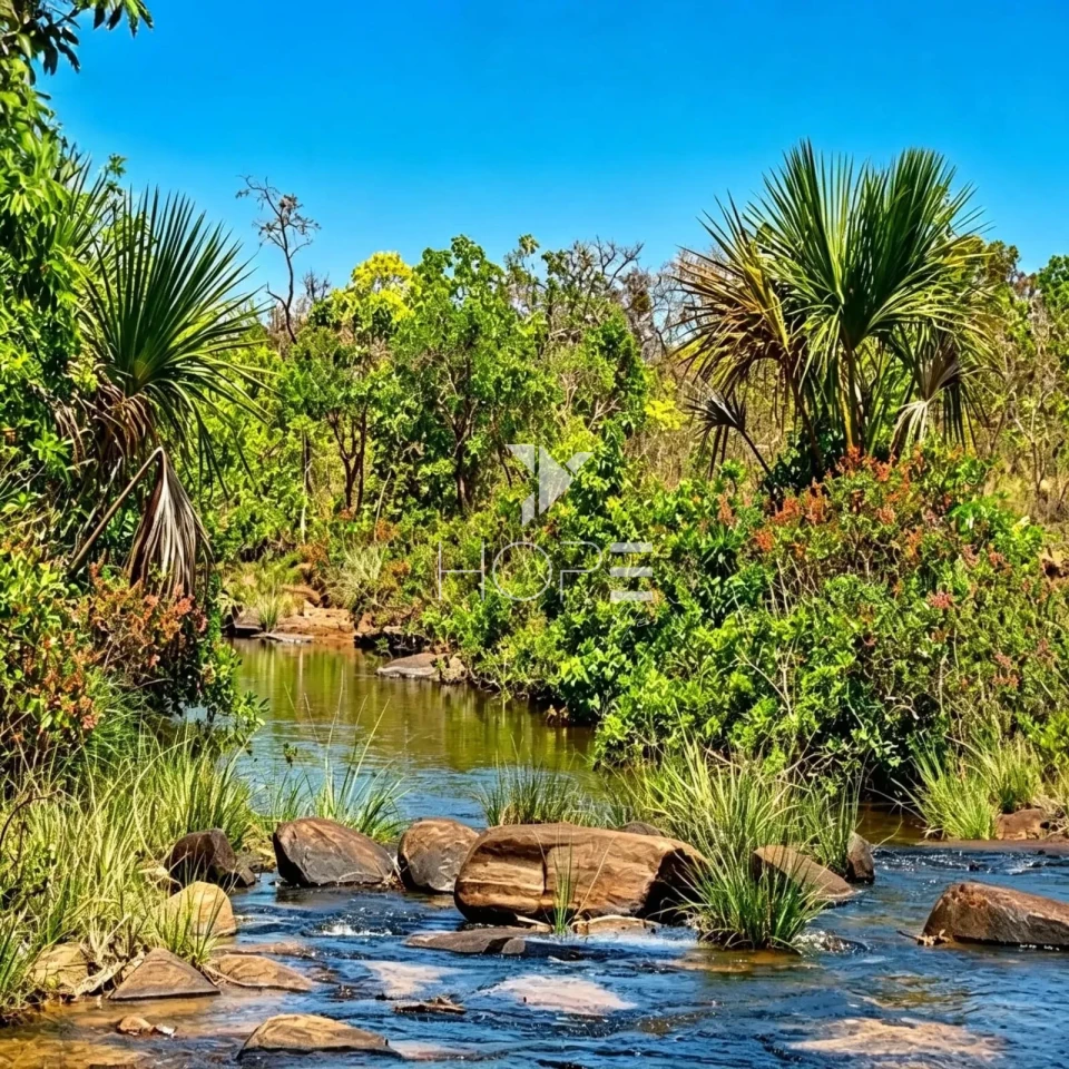 Fazenda à Venda com Aptidão Pecuária e Florestal – 513 Hectares – Brasilândia de Minas/MG