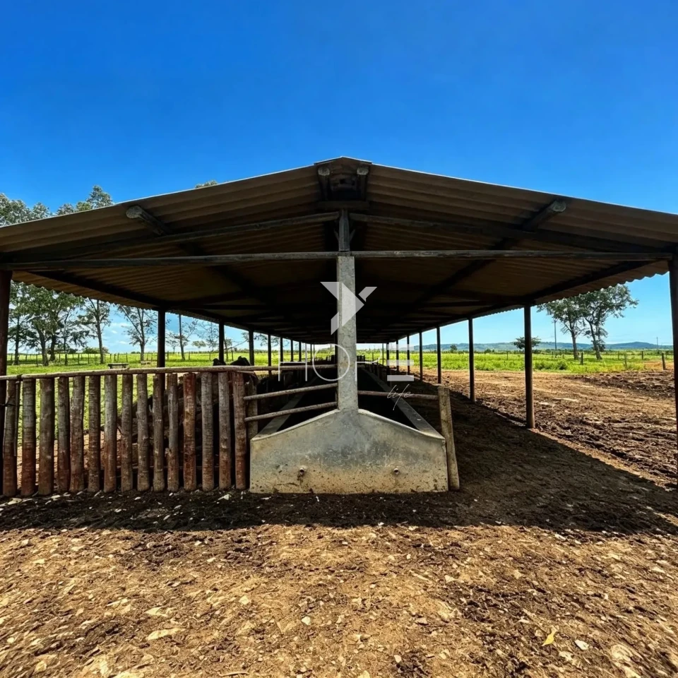 Imagens do imóveis Fazenda à Venda - Pecuária – 163 Hectares – Buenópolis/MG