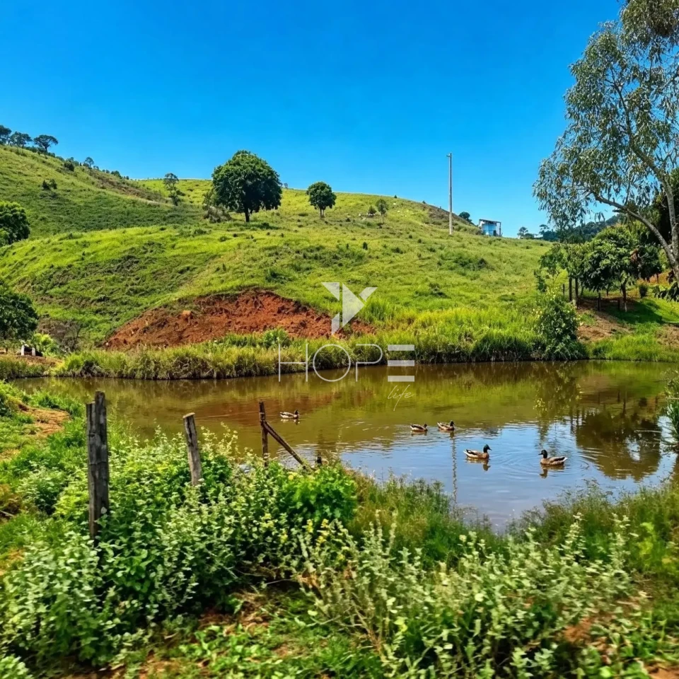 Imagens do imóveis Fazenda à Venda com Infraestrutura Completa – 294,30 Hectares – Carmésia/MG