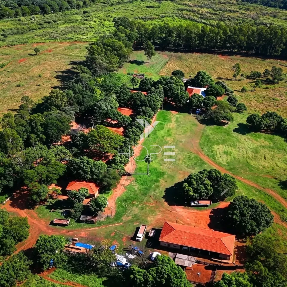 Imagens do imóveis Fazenda à Venda com Aptidão Pecuária - Topografia Plana – 560 Alqueires – Rosana/SP - Fronteira SP - PR - MS