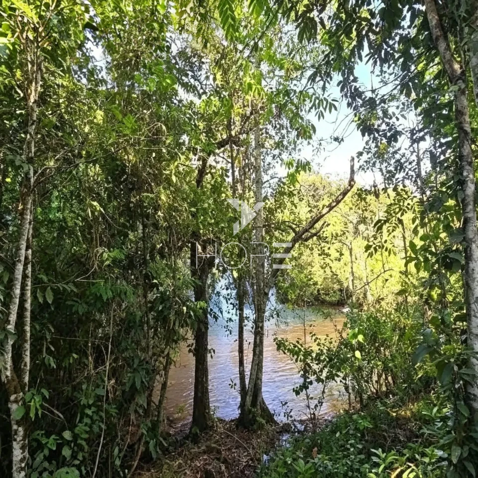 Imagens do imóveis Fazenda à Venda - Agricultura e Pecuária - Topografia Plana – 5.359 Hectares – Sonora – Sonora/MS