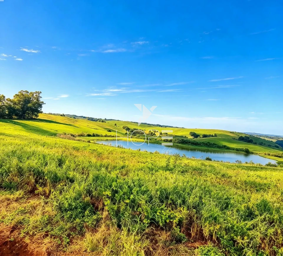 Imagens do imóveis Fazenda à Venda com Dupla Aptidão - Pecuária e Agricultura – 495 Alqueires – Francisco Beltrão – Francisco Beltrão/PR