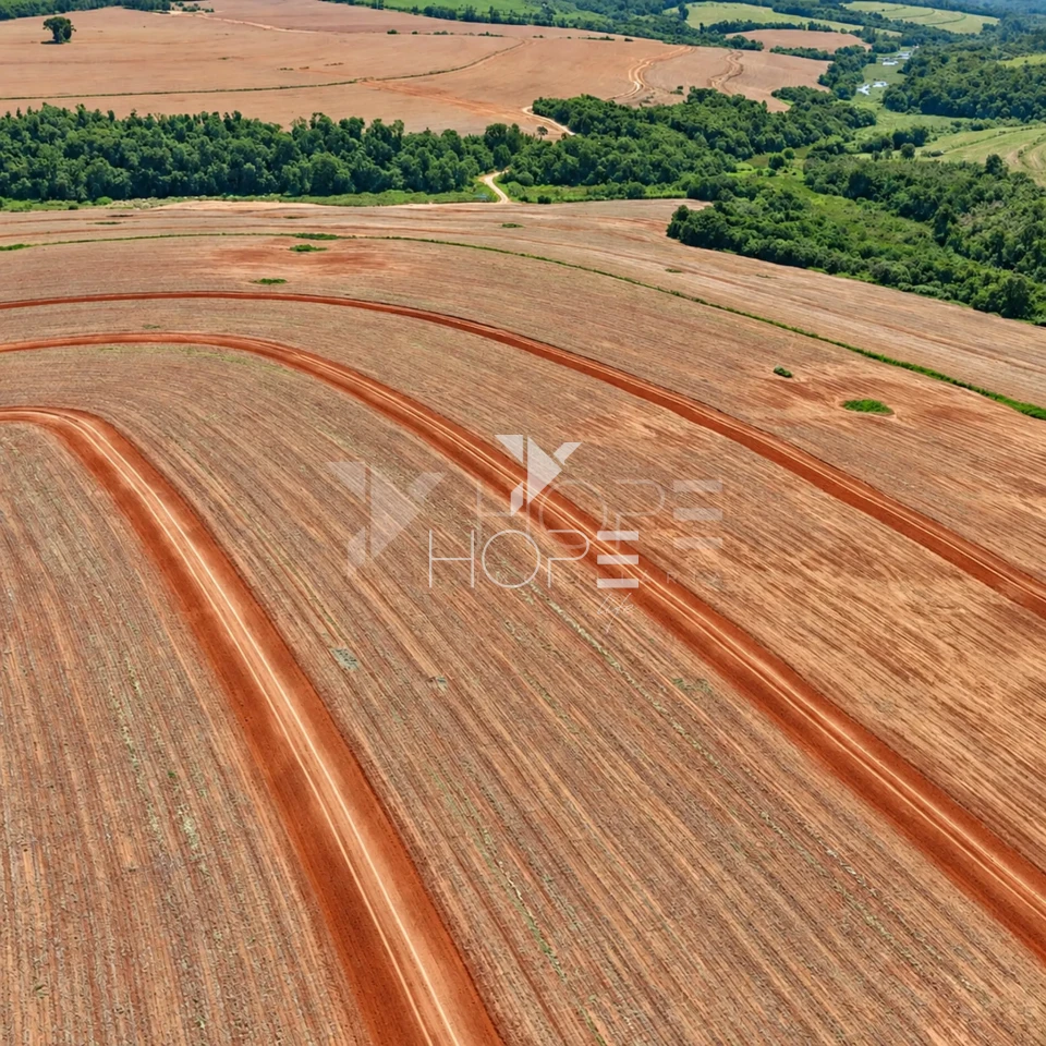 Imagens do imóveis Fazenda à Venda – Região de Itapetininga e Sorocaba – Interior – São Paulo/SP
