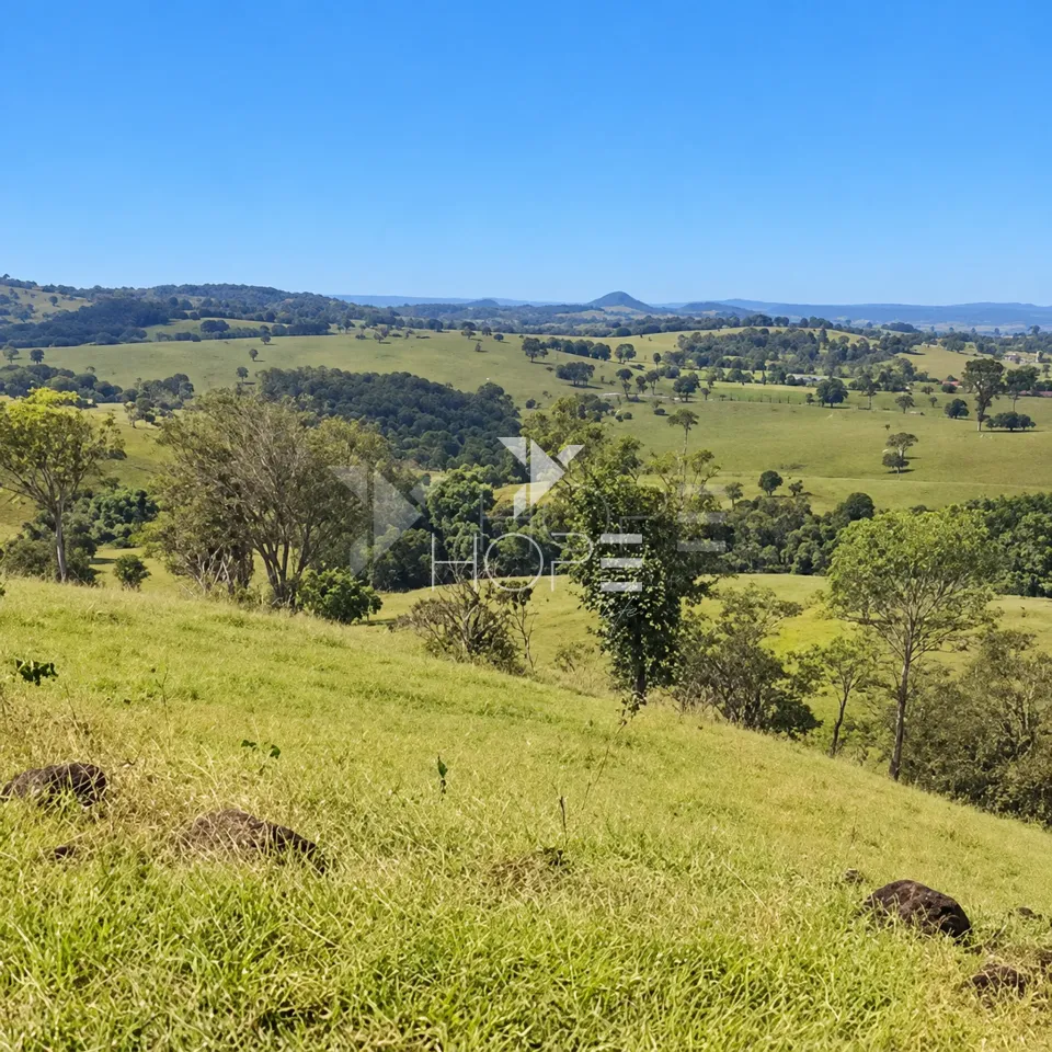 Imagens do imóveis Fazenda à Venda – Zona Rural – Rubiataba/GO