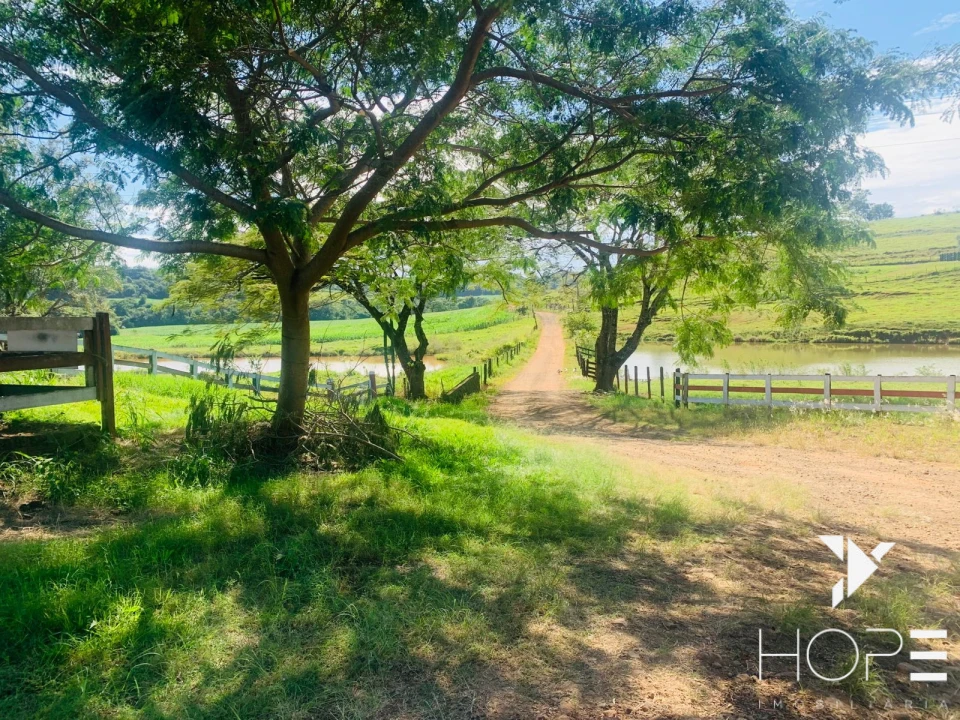 Imagens do imóveis Fazenda agrícola e pecuária à venda – 84 alqueires – Sertanópolis/PR