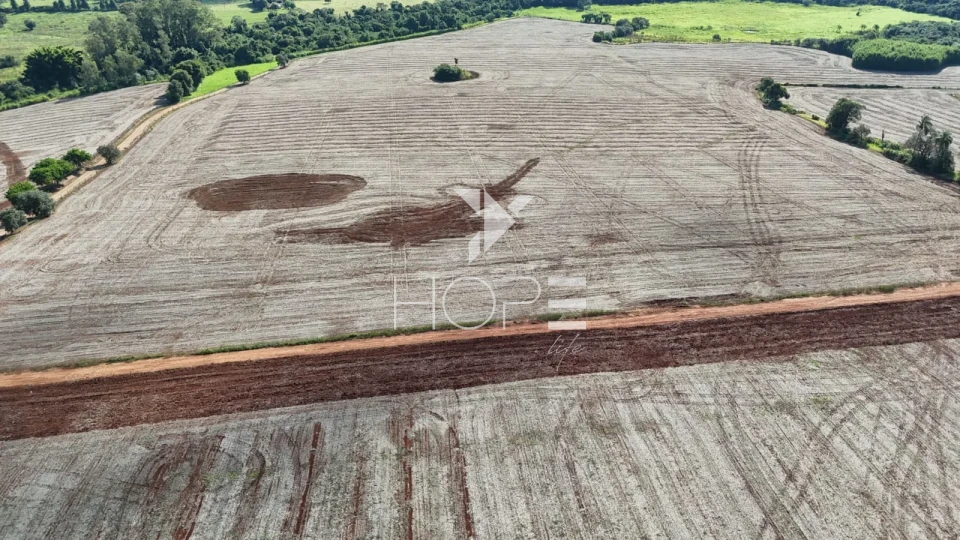 Imagens do imóveis Sítio à venda com 25 alqueires (61 hectares) - 15 alqueires em plantio - Itapetininga SP