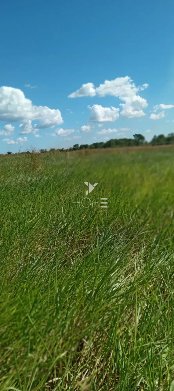 Imagens do imóveis Fazenda à venda com dupla aptidão - 553 hectares - estruturada para pecuária e agricultura - Bom Jesus TO