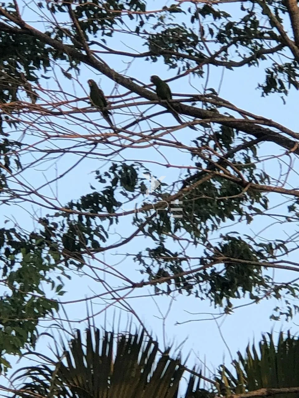 Imagens do imóveis Fazenda à venda com 57 alqueires - dupla aptidão - rio nos fundos - Batayporã MS