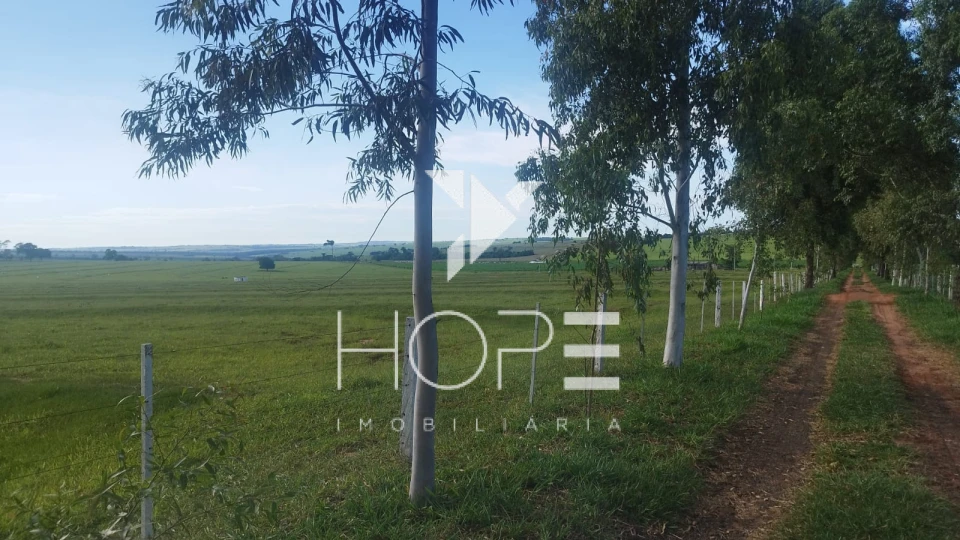 Imagens do imóveis Fazenda à venda 126 alqueires pecuária – região de Loanda – Paraná