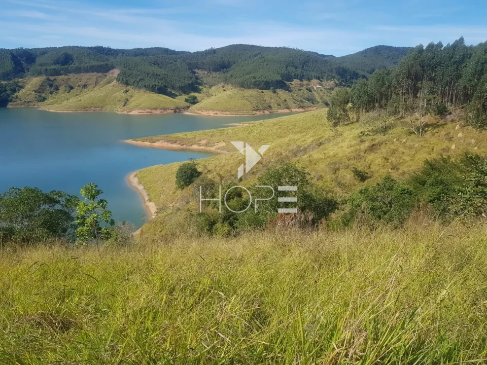 Imagens do imóveis Fazenda de eucalipto à venda com 124 alqueires - alto potencial florestal - Vale do Paraíba - Paraíbuna SP