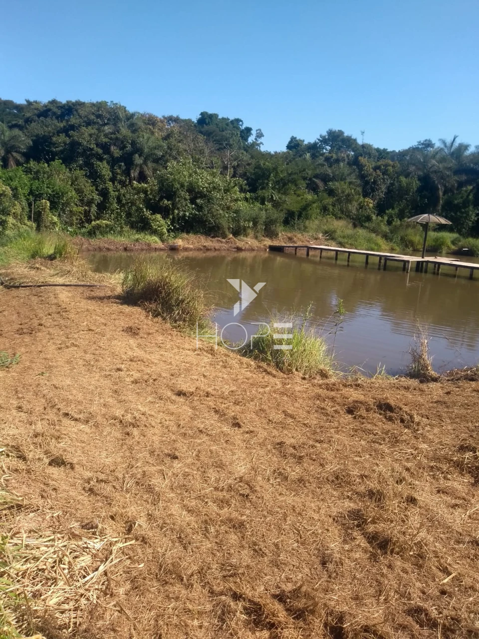 Imagens do imóveis Fazenda à venda 1.006 hectares cafeeira – região de Campos Altos – Minas Gerais