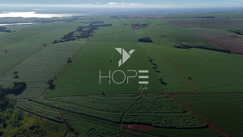 Imagens do imóveis Fazenda à venda com 68 alqueires - planta 63 - dupla aptidão - 2 casas de funcionário - Alvorada do Sul PR