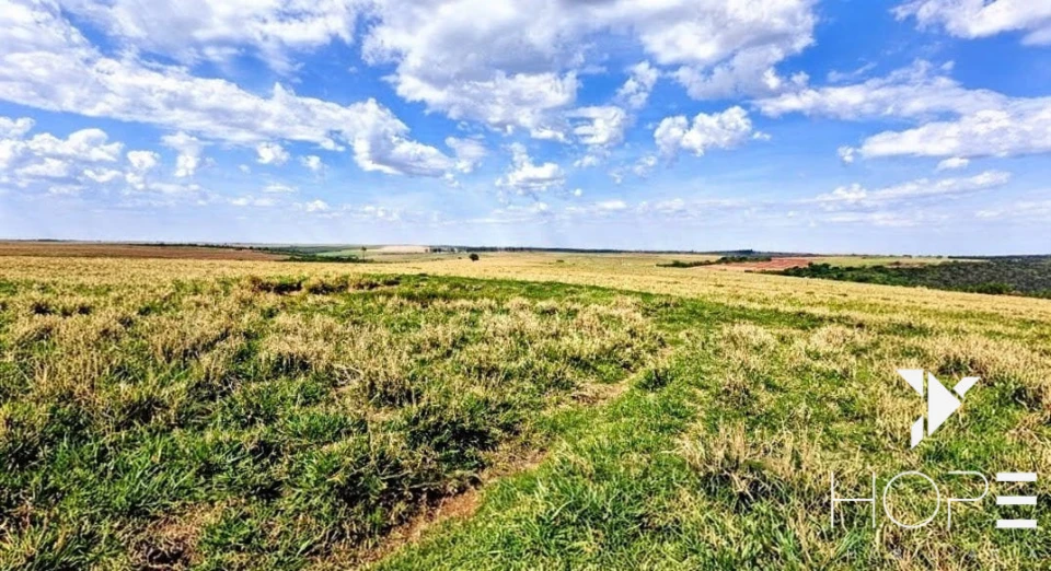 Fazenda à Venda – 155 Alqueires – Nossa Senhora das Graças/PR