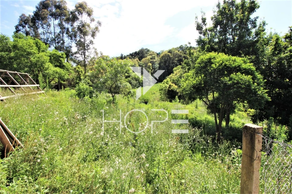 Chácara Completa à Venda  3.8 Alqueres Paulista e 4 Minas de Água – Agudos do Sul PR