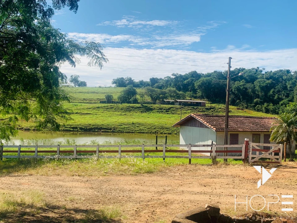 Imagens do imóveis Fazenda agrícola e pecuária à venda – 84 alqueires – Sertanópolis/PR