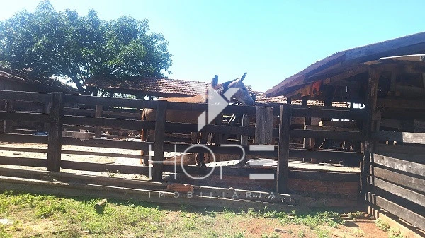 Imagens do imóveis Sítio à venda 13 alqueires pecuária benfeitorias completas – Porto São José – São Pedro do Paraná – próximo a Porto Rico