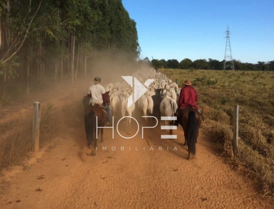 Imagens do imóveis Fazenda 326 Alqueires - Dupla Aptidão - Unaí MG - Entre Unaí e Paracatu - Margens de Rodovia