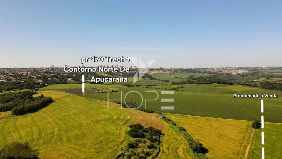 Sítio à Venda  77,44 Hectares de Oportunidade na Estância Pinheiro Alto