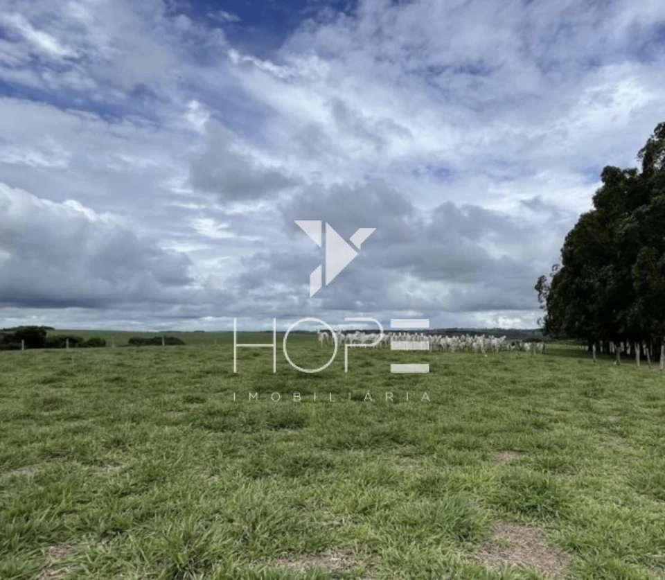 Imagens do imóveis Fazenda 207 Alqueires - Dupla Aptidão - Cana Arrendada - Mineiros GO - 7 km do Asfalto