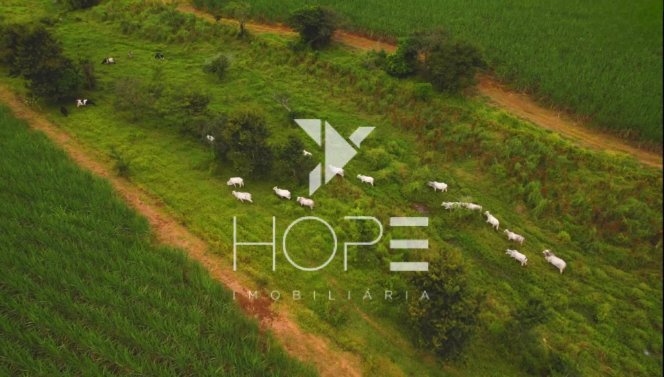 Fazenda à venda – 80 alqueires – Tatuí/SP – Próxima a Sorocaba